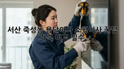 서산 죽성동 용달이사, 소형이사 꿀팁🍯 가격 비교 필수!