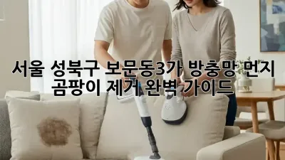 서울 성북구 보문동3가 방충망 먼지, 곰팡이 제거 완벽 가이드