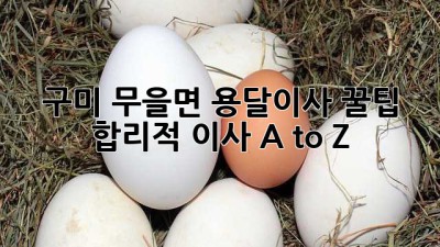 구미 무을면 용달이사 꿀팁🍯: 합리적 이사 A to Z